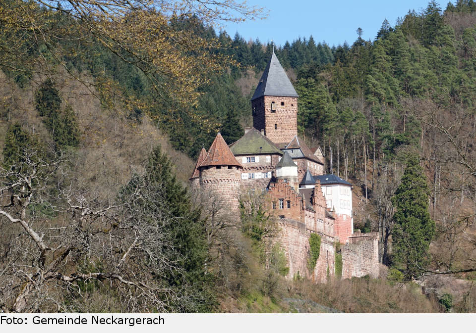 schloss zwingenberg