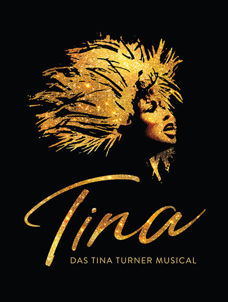 tina musical stuttgart logo hoch