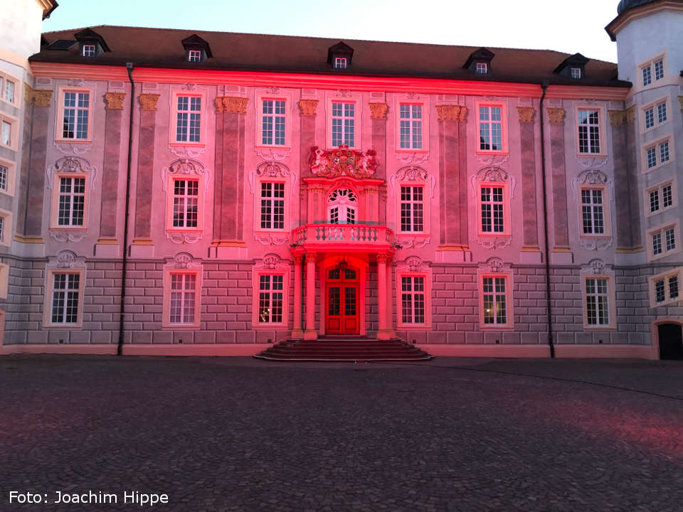 ettlingen schloss